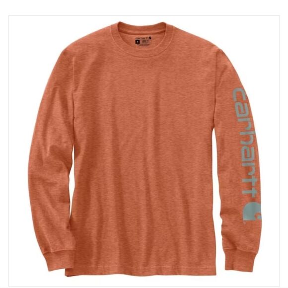 Carhartt Loose Fit Heavyweight L/S Graphic Sleeve Shirt - Picture 1 of 6